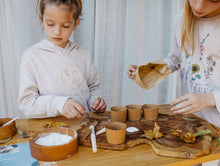 Load image into Gallery viewer, Mini Fossils Kit