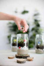 Load image into Gallery viewer, Mini Garden Kit