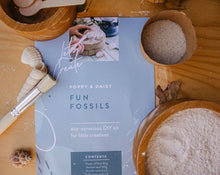 Load image into Gallery viewer, Mini Fossils Kit