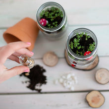 Load image into Gallery viewer, Mini Garden Kit