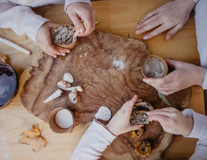 Mini Fossils Kit